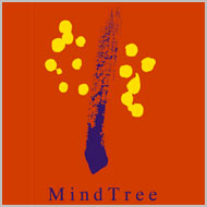 Mind Tree Placement paper