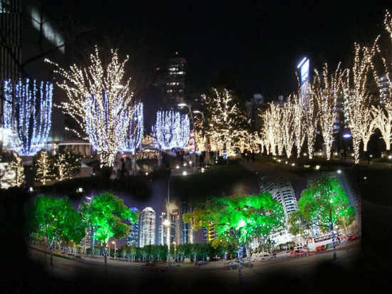 No a Street Light, but it is Lightning Tree