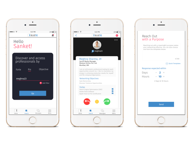 BlueTie Connecting Professionals