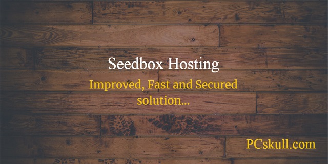 Advantages of Seedbox Hosting